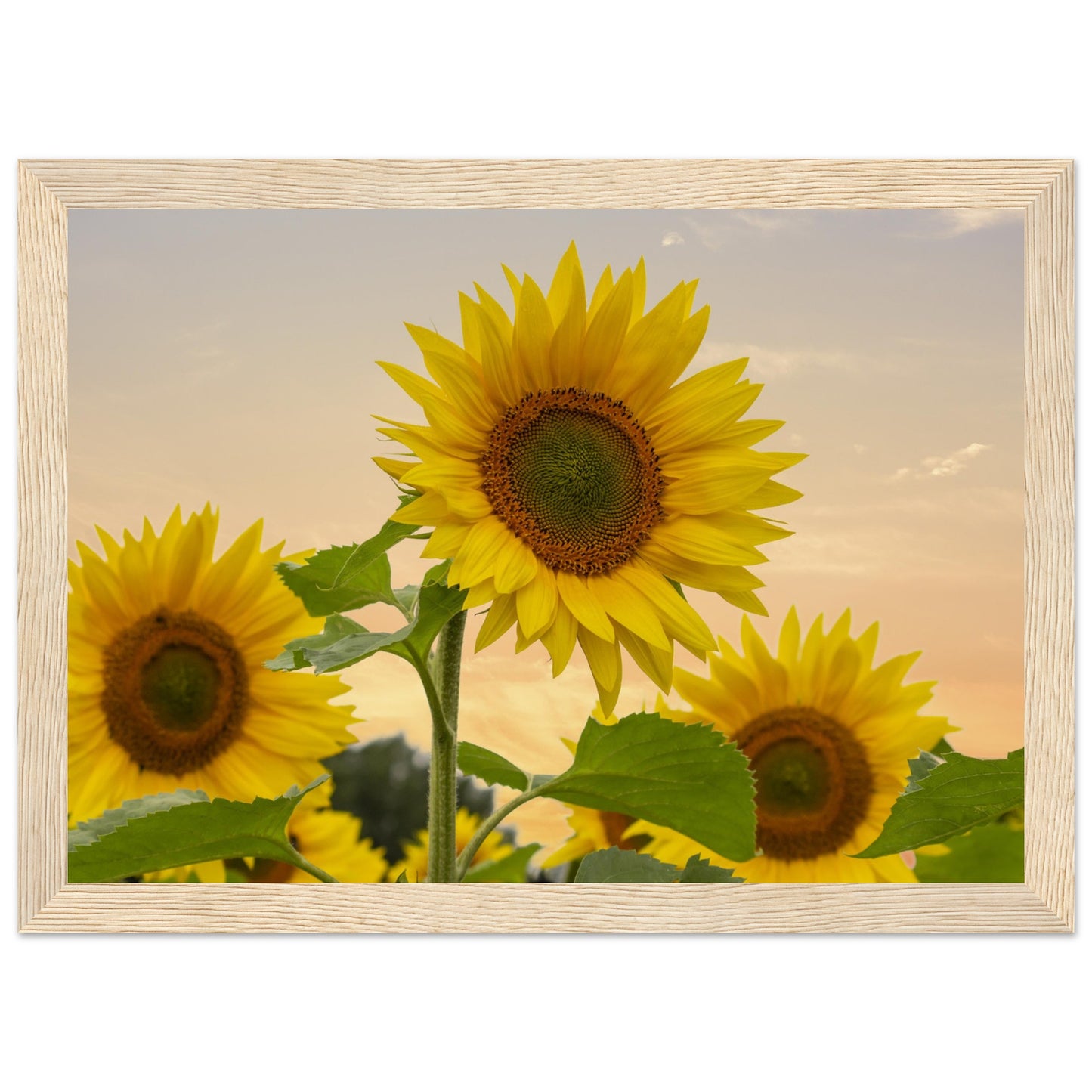 
                  
                    Premium Matte Paper Wooden Framed Poster
                  
                