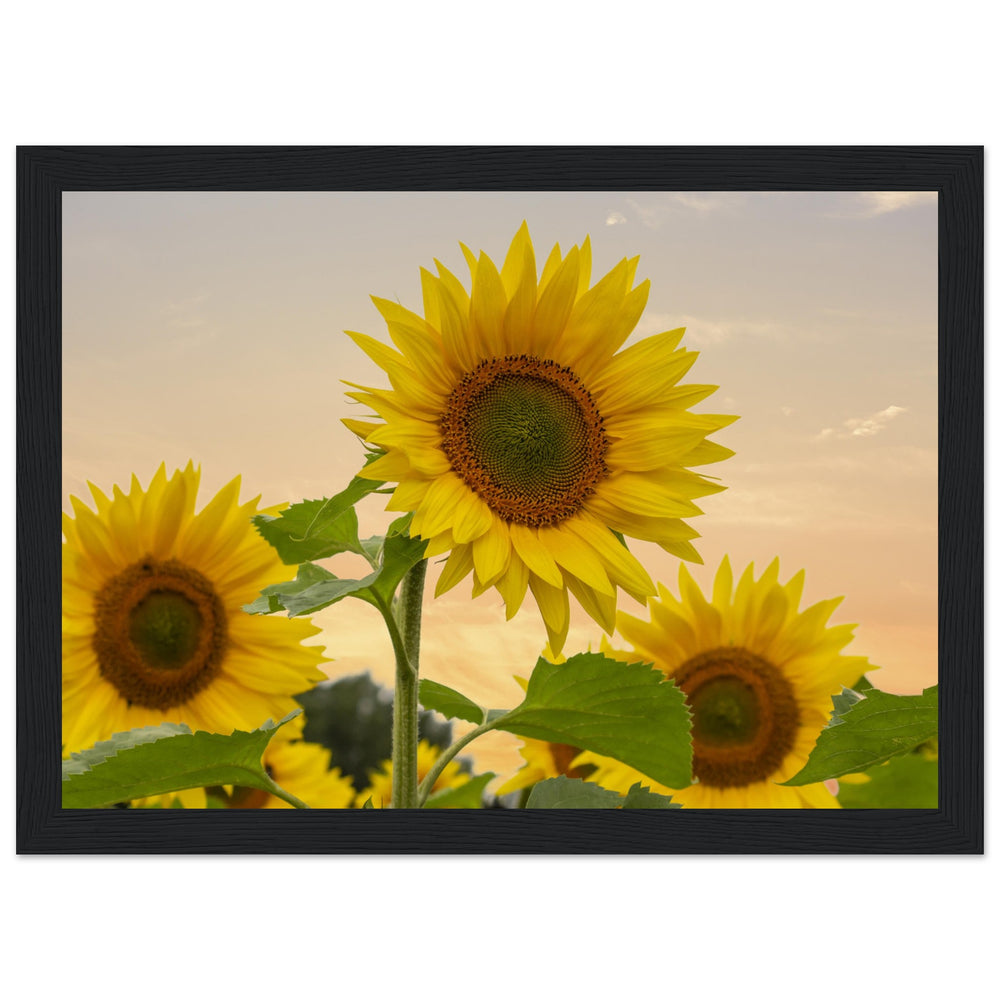 Premium Matte Paper Wooden Framed Poster