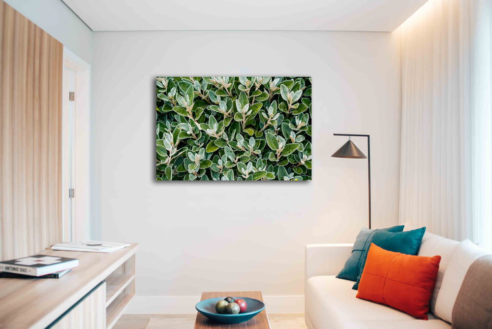 
                  
                    Canvas Art Green Leaves
                  
                