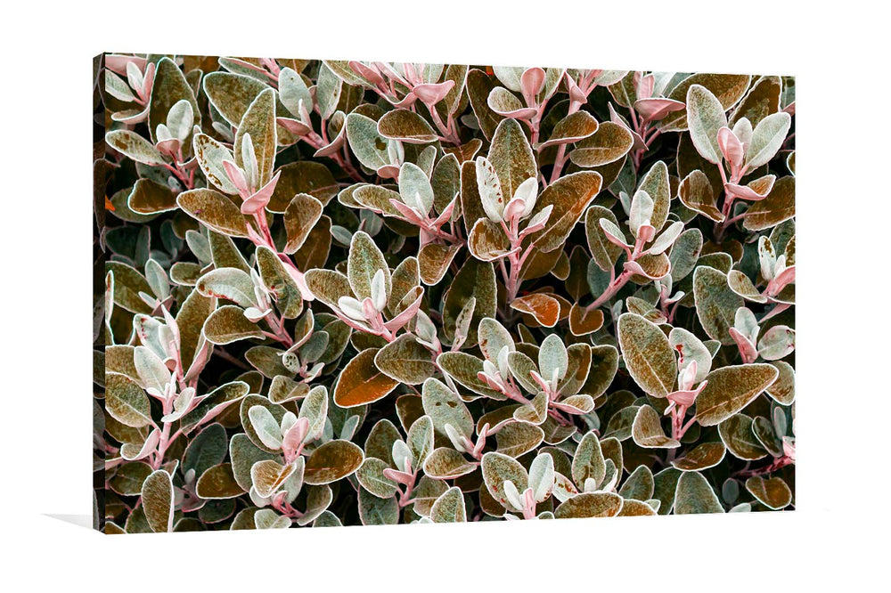 Canvas Art Brown leaves