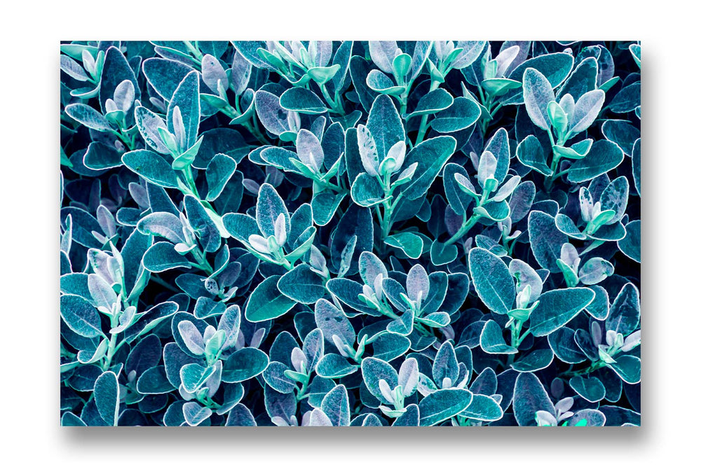 
                  
                    Teal Leaves
                  
                