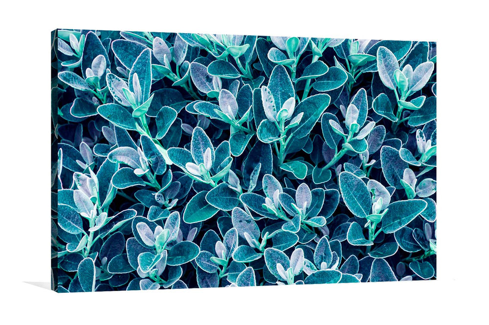 Teal Leaves