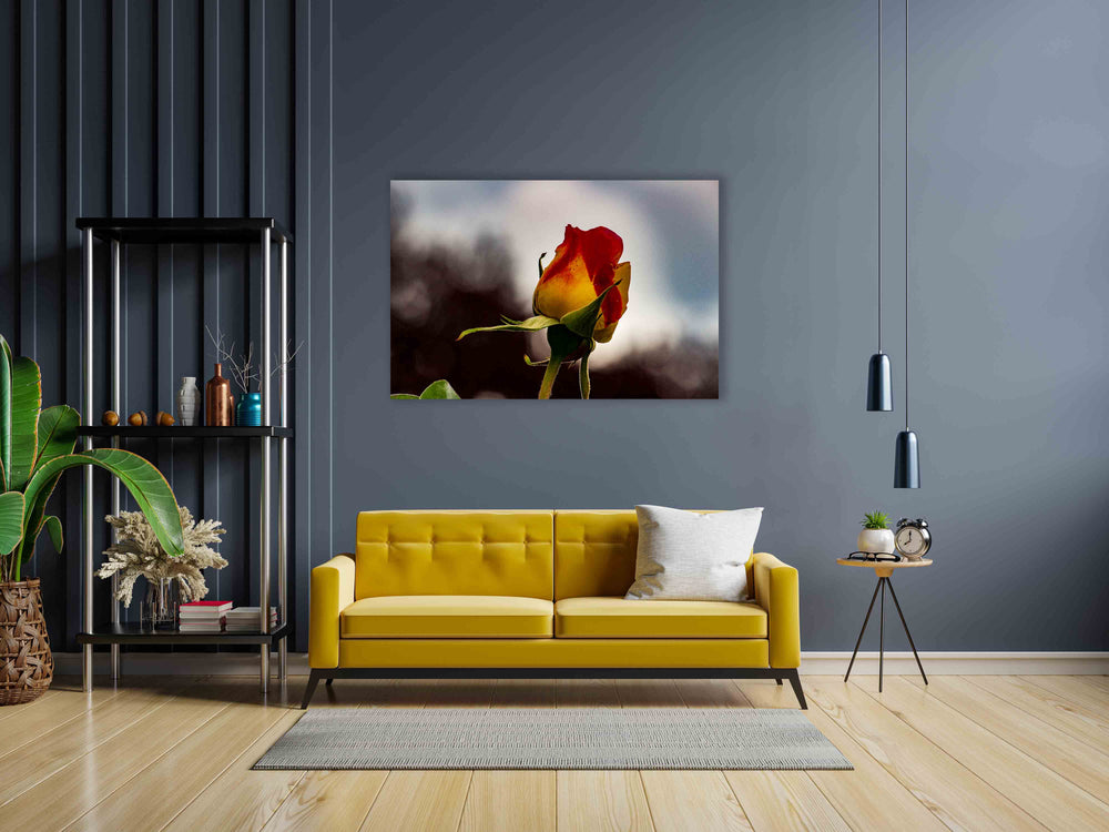 
                  
                    Rose Canvas art
                  
                