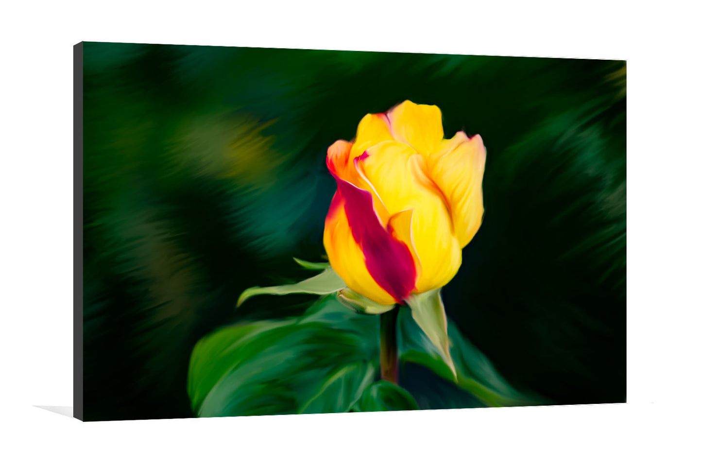 Rose Canvas Digital Painting