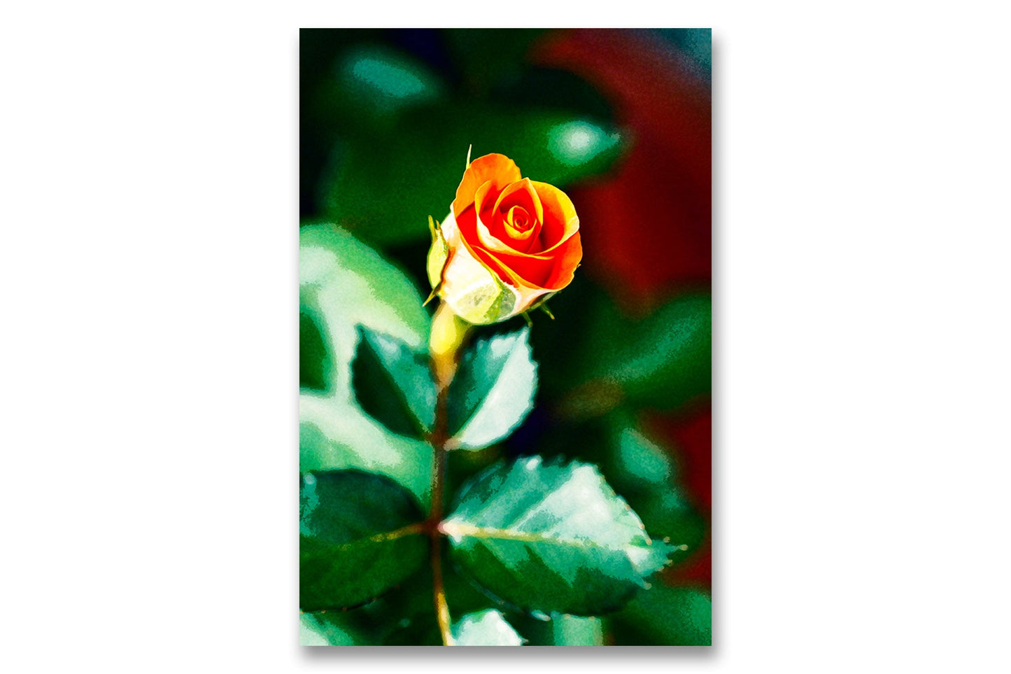 
                  
                    Rose flower digital art
                  
                