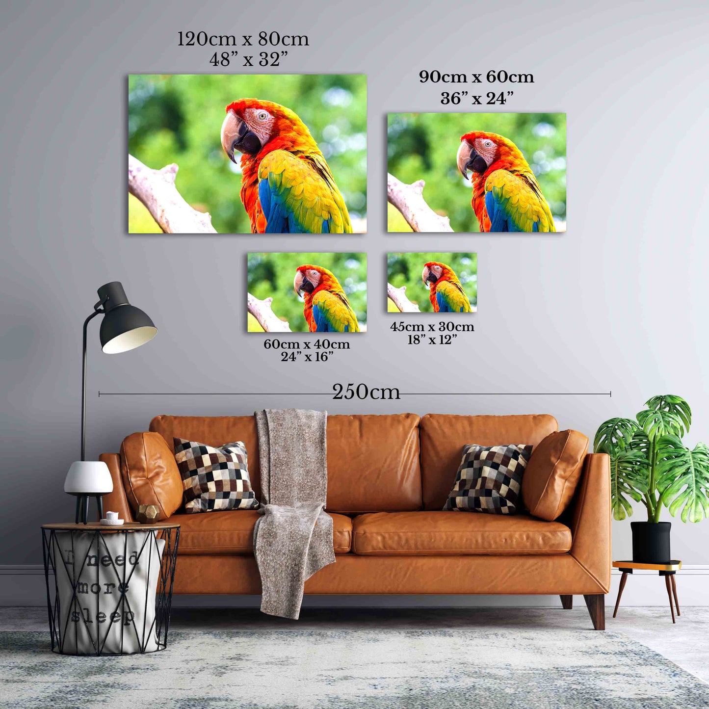 
                  
                    Exotic Scarlet Macaw
                  
                