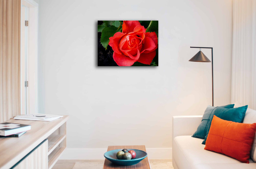 
                  
                    Wall art rose image canvas
                  
                