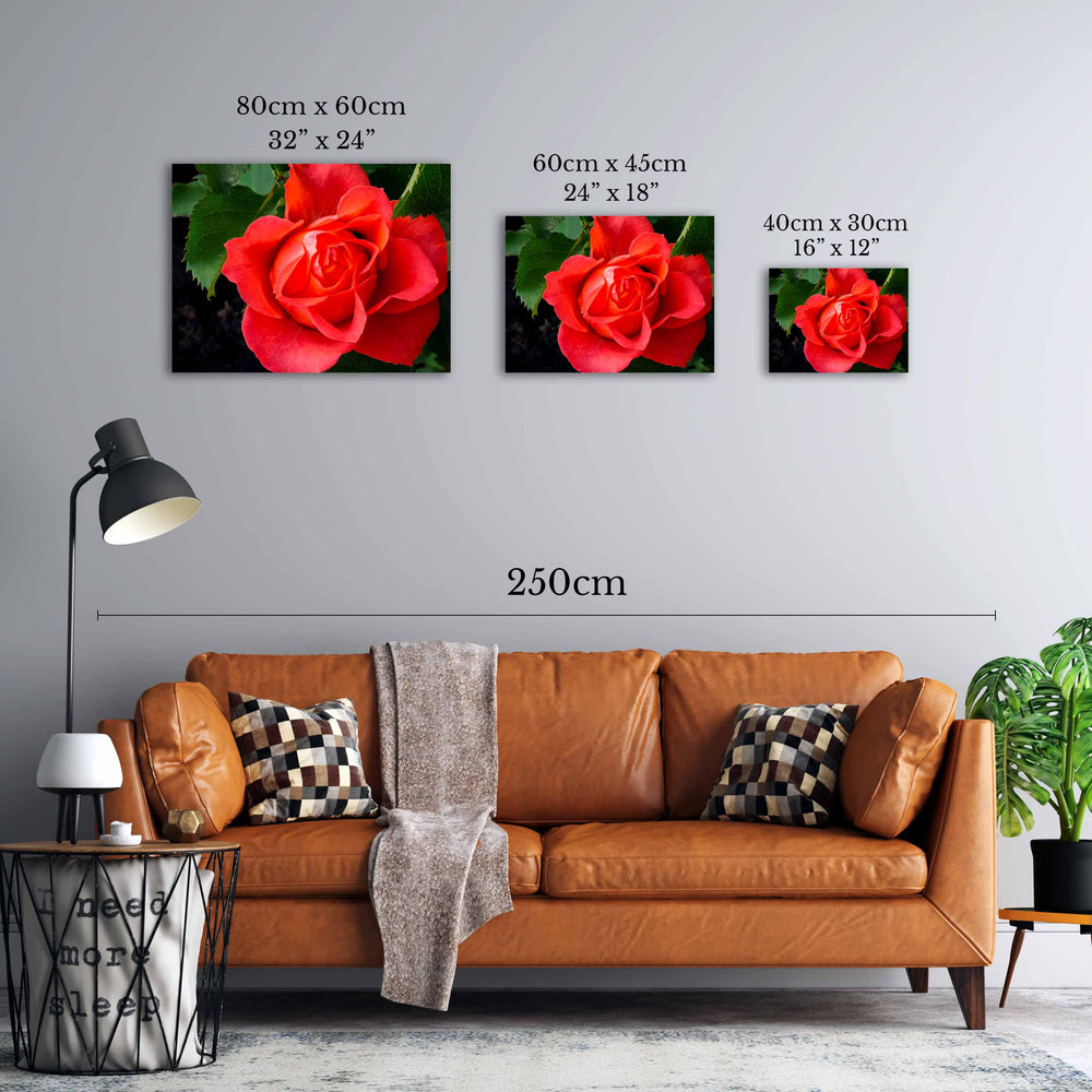 
                  
                    Wall art rose image canvas
                  
                