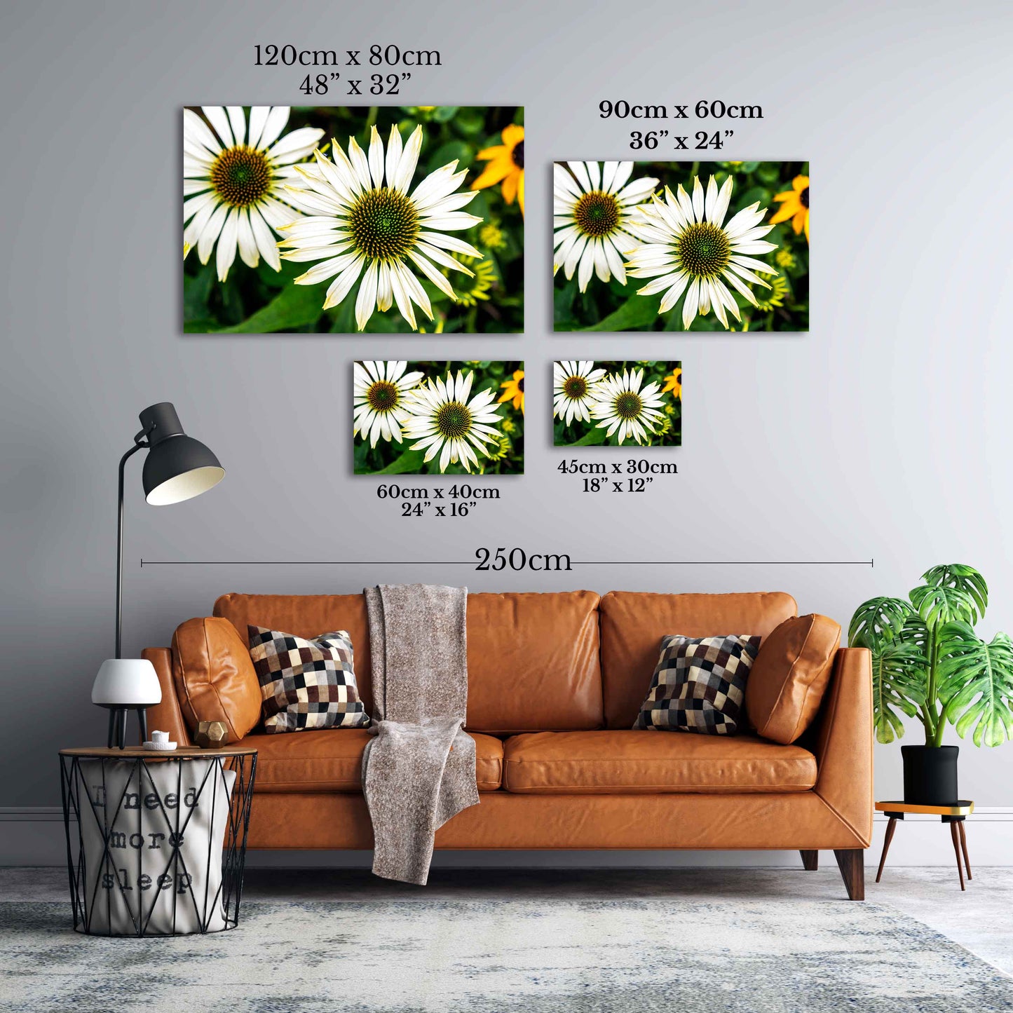 
                  
                    Coneflower Canvas Wall art
                  
                