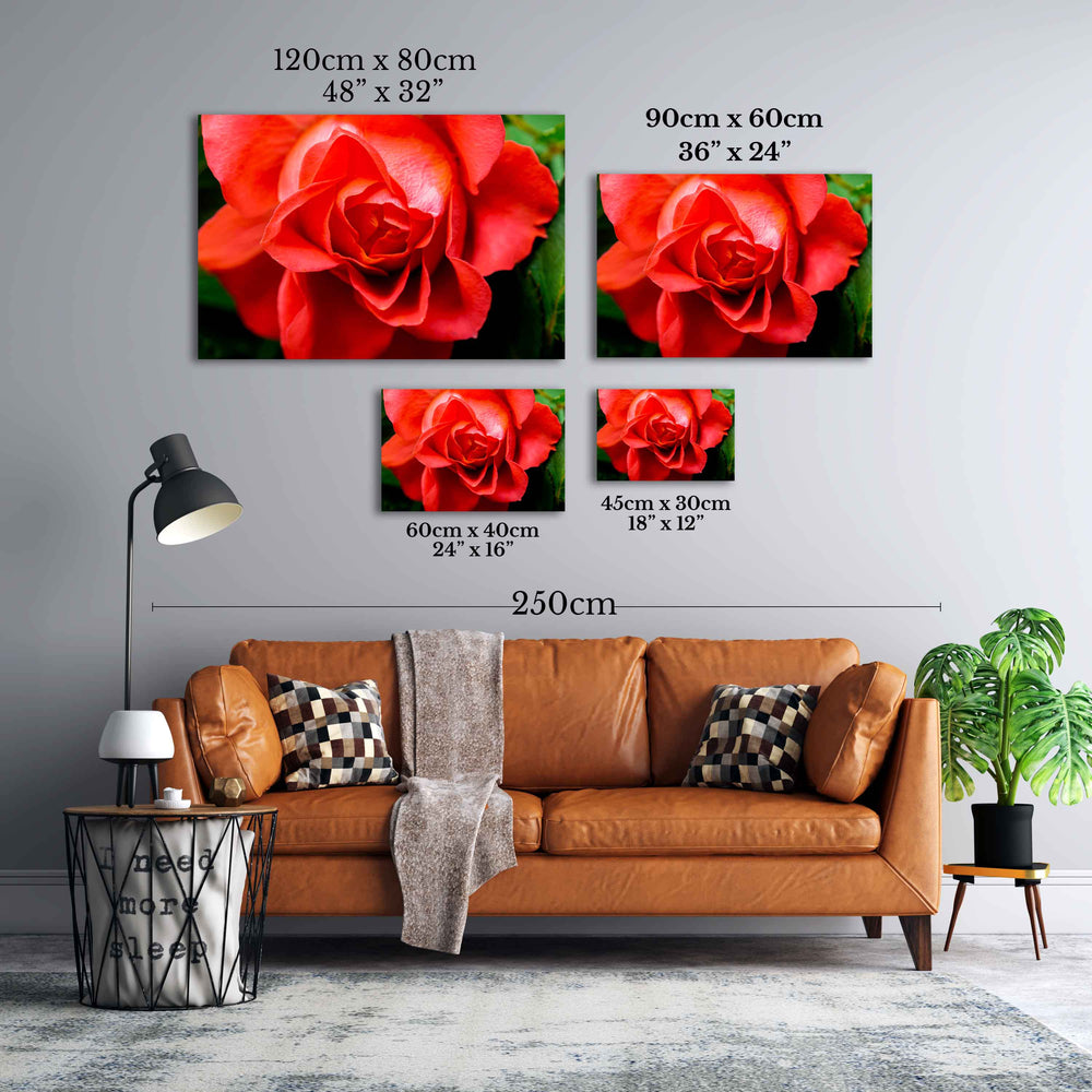 
                  
                     Rose wall print art
                  
                