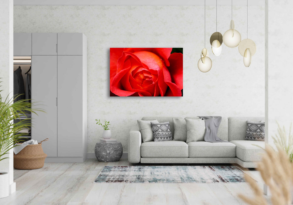 
                  
                    Rose petals wall print in room view
                  
                