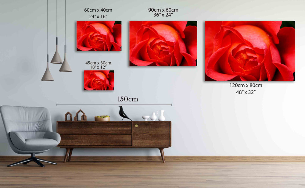 
                  
                    Rose petals wall print
                  
                