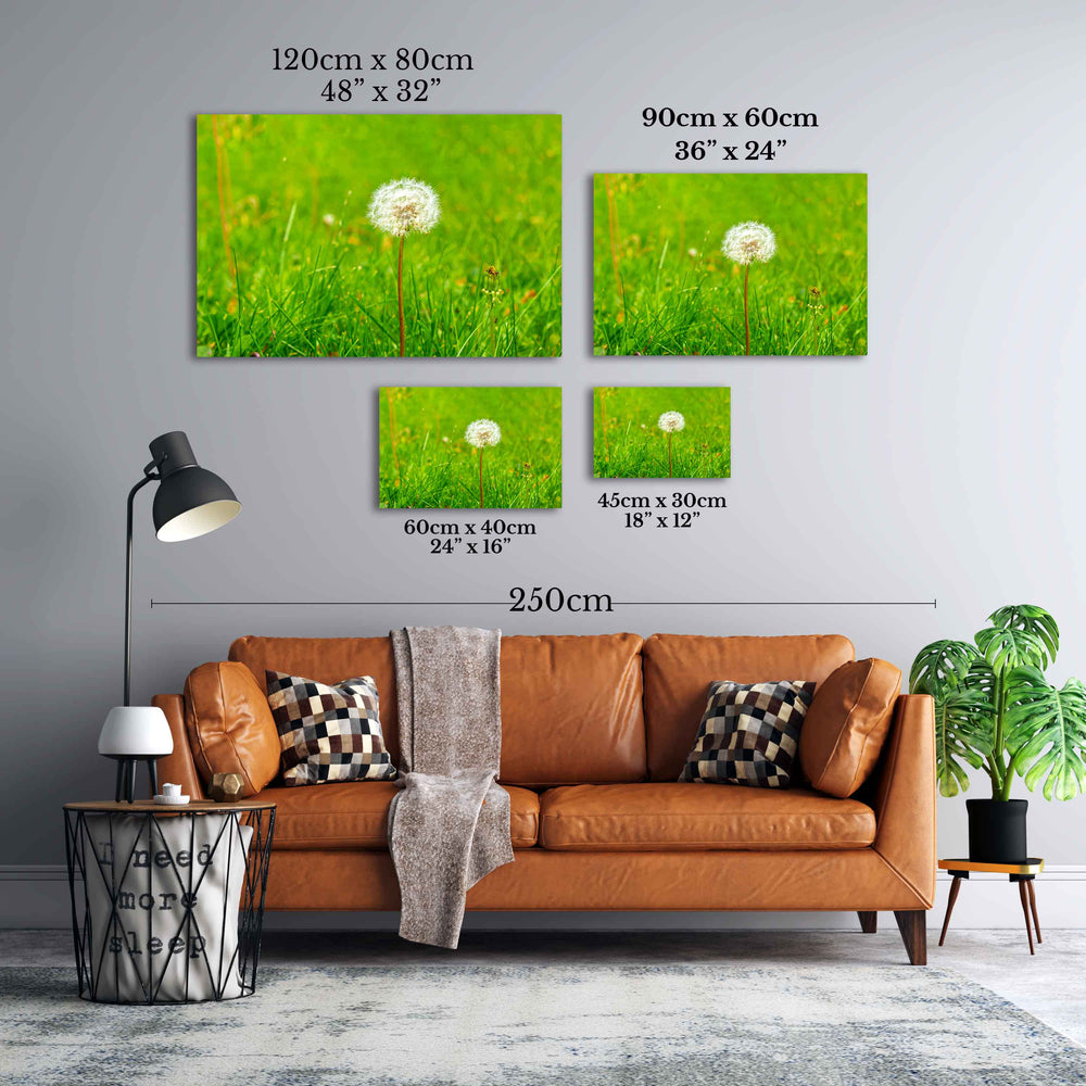 
                  
                    Dandelion canvas print 
                  
                