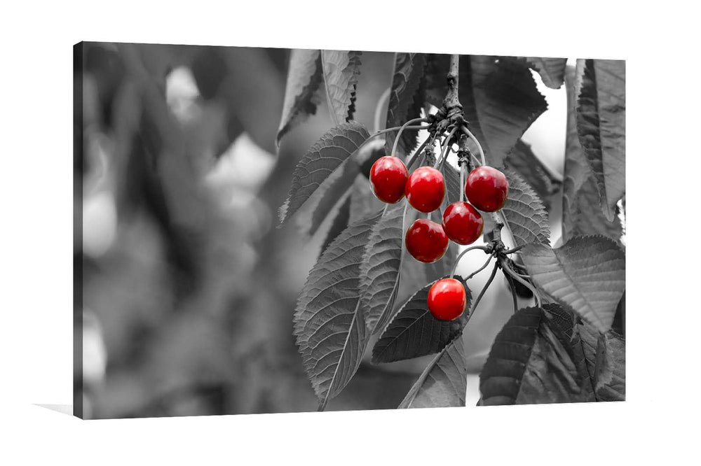 Red Berries