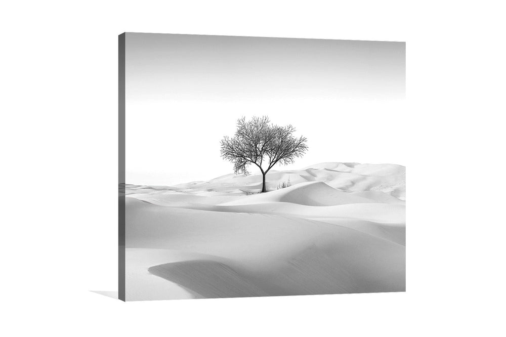 Desert painting canvas