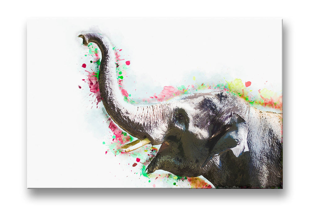 Elephant Canvas